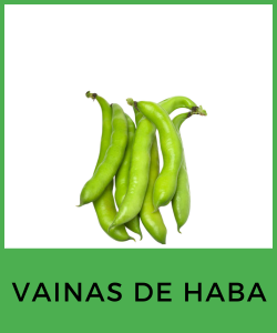 Vainas de Haba (Vicia faba)