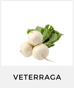 Veterraga (Brassica rapa)