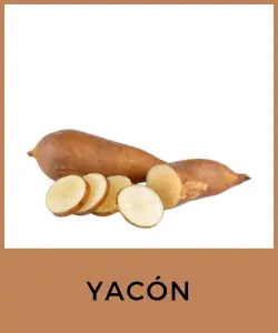 Yacón (Smallanthus sonchifolius)