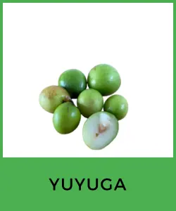 Yuyuga (Spondias mombin)