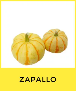 Zapallo (Cucurbita maxima)