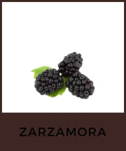 Zarzamora (Rubus fruticosus)