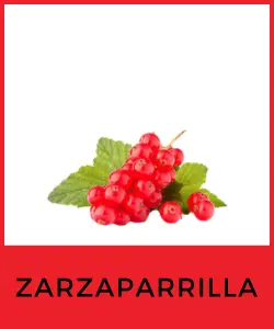 Zarzaparrilla (Smilax spp.)