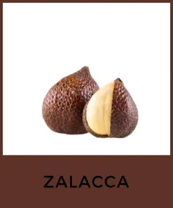 Zalacca (Salacca zalacca)