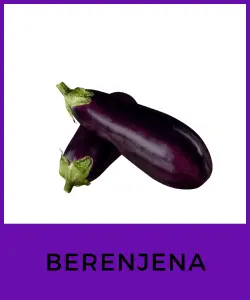 Berenjena