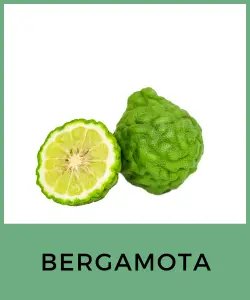 Bergamota