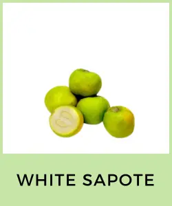 White Sapote (Zapote Blanco)