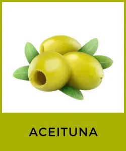 Aceituna