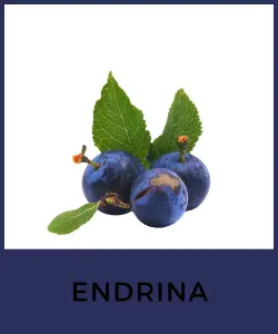 Endrina