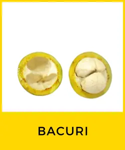 Bacuri