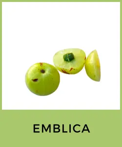 Emblica (Grosella espinosa india)