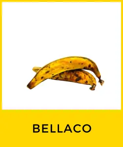 Bellaco