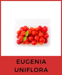 Eugenia uniflora (Pitanga o Cereza de Surinam)