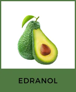 Edranol (Variedad de aguacate)