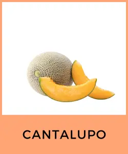 Cantalupo