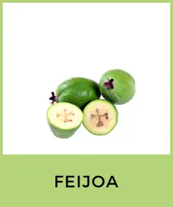 Feijoa (Acca sellowiana)