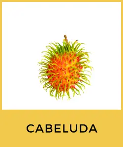 Cabeluda