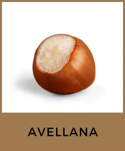 Avellana