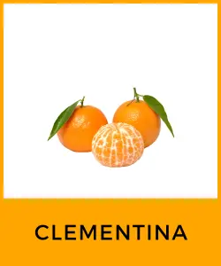 Clementina