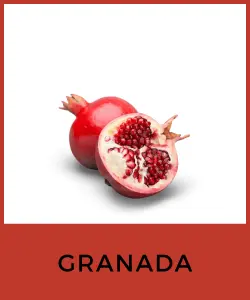 Granada