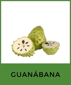 Guanábana