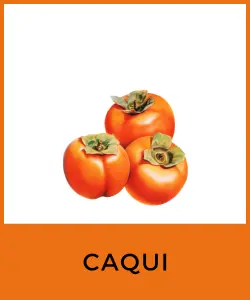 Caqui