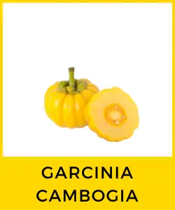 Garcinia Cambogia