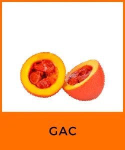 Gac (Momordica cochinchinensis)