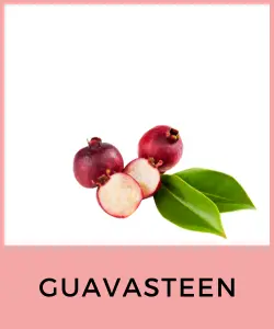 Guavasteen (Guayabita fresa)