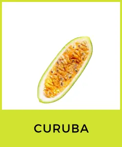 Curuba