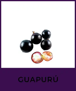 Guapurú (Jabuticaba)