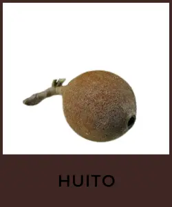 Huito (Genipap)