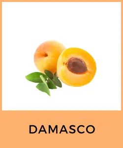 Damasco