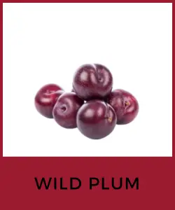 Wild Plum (Ciruela Silvestre)