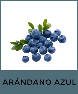 Arándano Azul