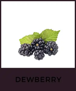 Dewberry