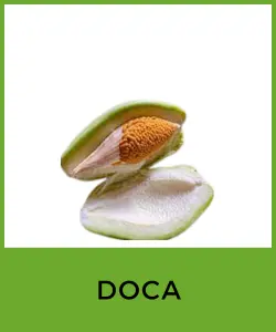 Doca