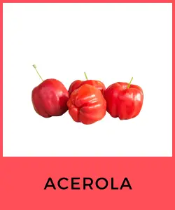 Acerola