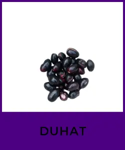 Duhat