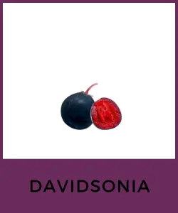 Davidsonia