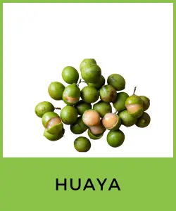 Huaya