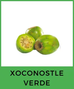 Xoconostle Verde (Opuntia joconostle)