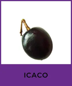 Icaco