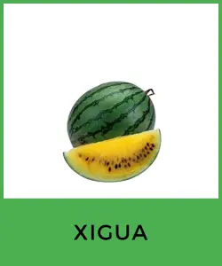 Xigua (Citrullus lanatus)