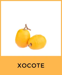 Xocote (Spondias purpurea)