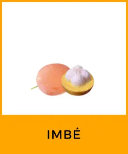 Imbé