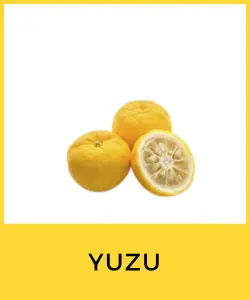 Yuzu (Citrus junos)