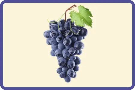 Uvas de Piel Oscura