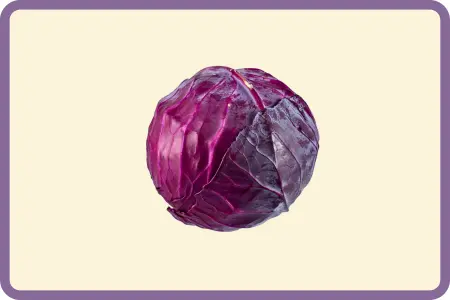 Repollo morado