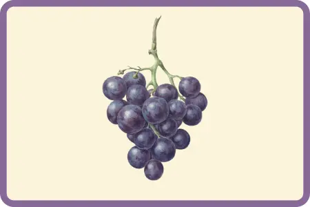 Uva morada